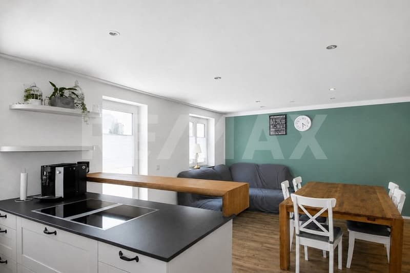 Spacious 5.5-room single-family house in a family-friendly neighborhood (3)