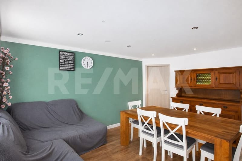 Spacious 5.5-room single-family house in a family-friendly neighborhood (2)