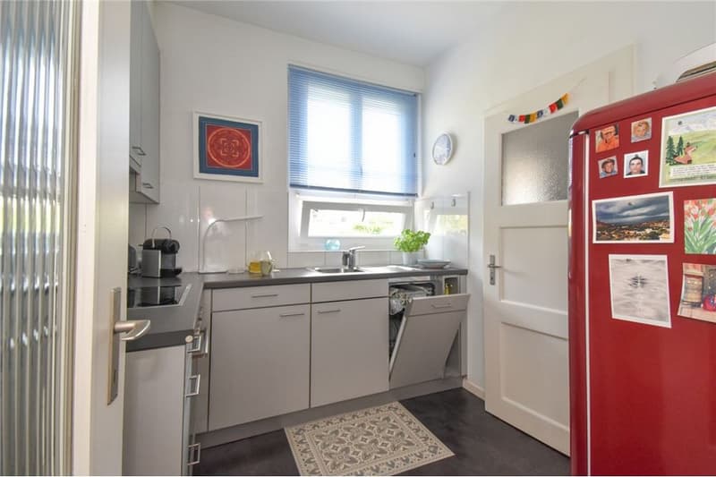 Steingrube Solothurn - Mehrfamilienhaus mit Charme; 3 Wohnungen und 5 Garagen (3)