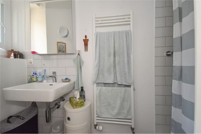 Steingrube Solothurn - Mehrfamilienhaus mit Charme; 3 Wohnungen und 5 Garagen (5)