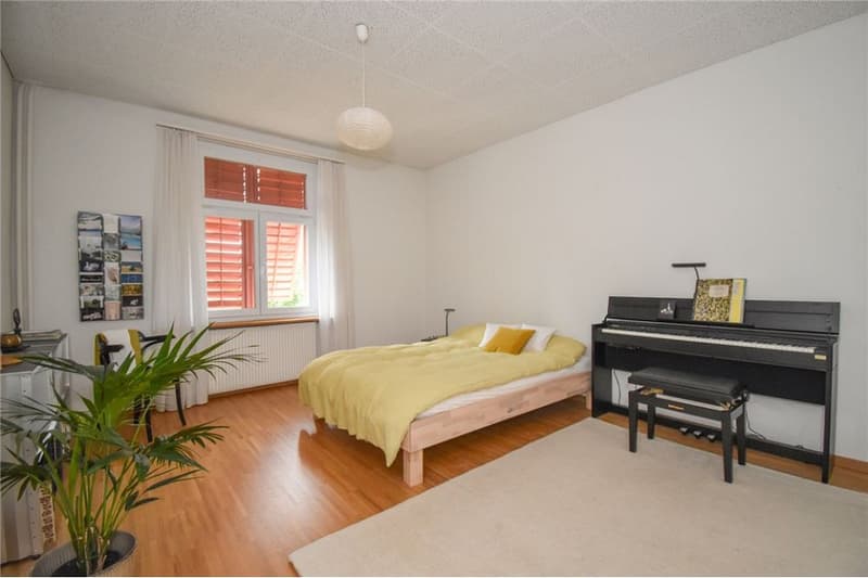 Steingrube Solothurn - Mehrfamilienhaus mit Charme; 3 Wohnungen und 5 Garagen (8)