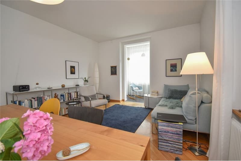 Steingrube Solothurn - Mehrfamilienhaus mit Charme; 3 Wohnungen und 5 Garagen (7)