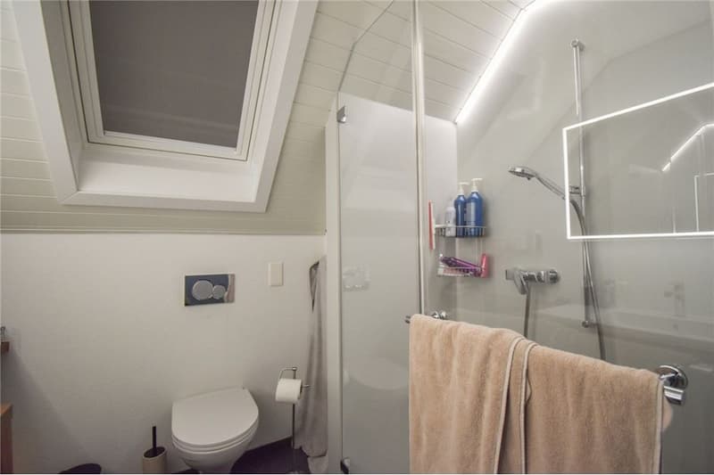 4½ Zimmer Einfamilienhaus an einzigartiger, idyllischer Uferlage (12)