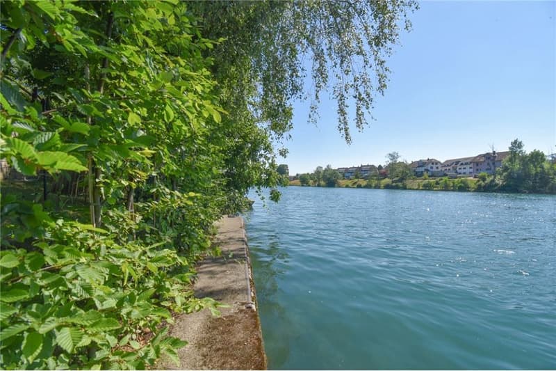 4½ Zimmer Einfamilienhaus an einzigartiger, idyllischer Uferlage (4)