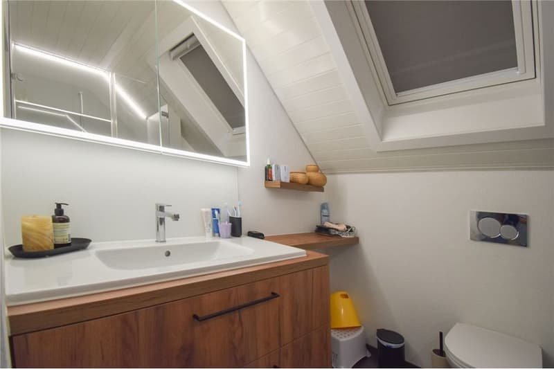 4½ Zimmer Einfamilienhaus an einzigartiger, idyllischer Uferlage (11)