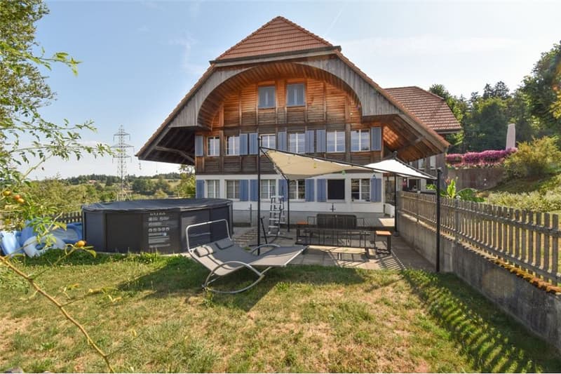 2001 massiv erbautes, prächtiges Bauernhaus und erhaltener Speicher. (3)