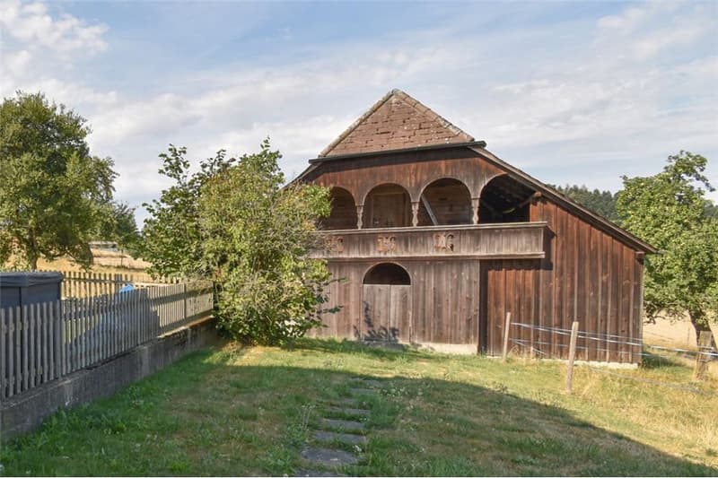 2001 massiv erbautes, prächtiges Bauernhaus und erhaltener Speicher. (5)