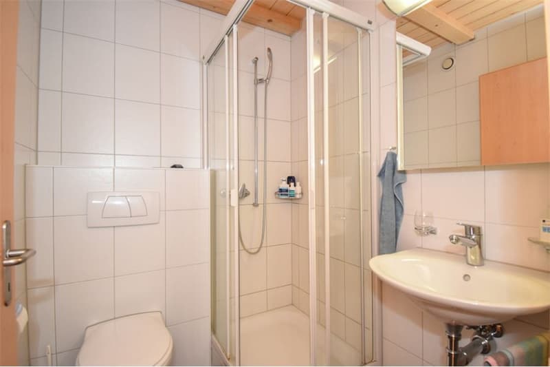 2001 massiv erbautes, prächtiges Bauernhaus und erhaltener Speicher. (13)