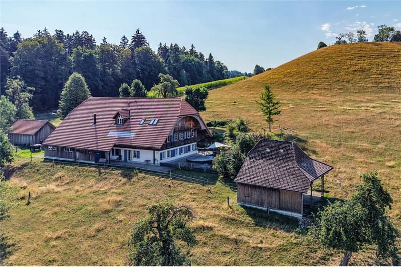 2001 massiv erbautes, prächtiges Bauernhaus und erhaltener Speicher. (2)