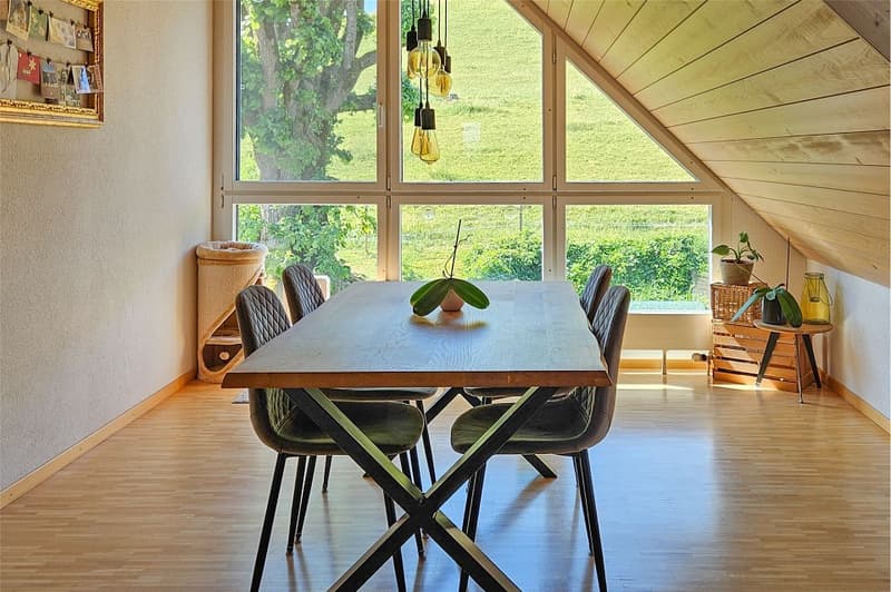 2001 massiv erbautes, prächtiges Bauernhaus und erhaltener Speicher. (12)