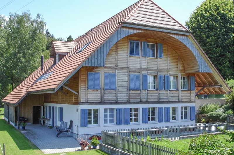 2001 massiv erbautes, prächtiges Bauernhaus und erhaltener Speicher. (1)