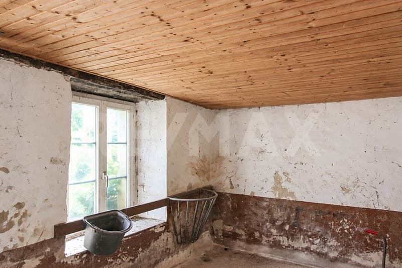 5½ Zimmer Einfamilienhaus mit Garage, Stall und Gewölbekeller mit Erweiterungspotenzial (12)