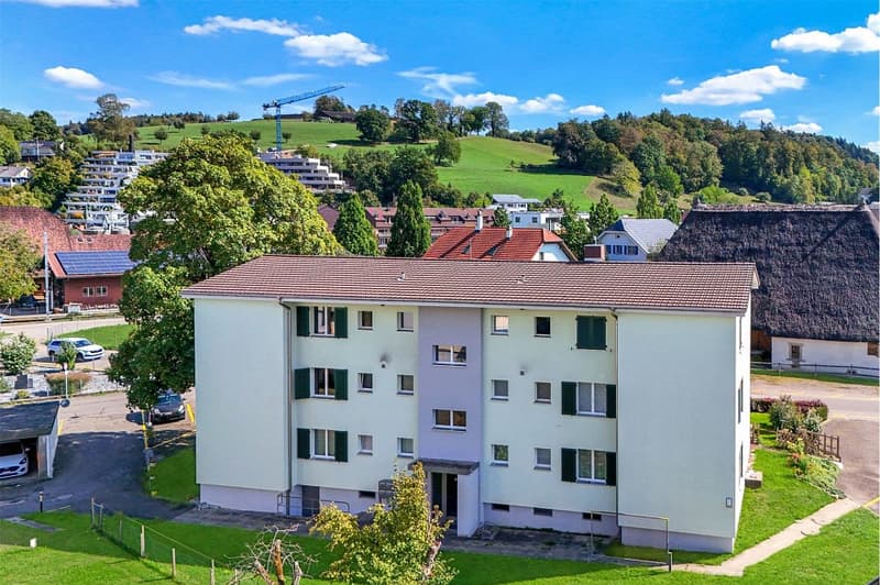 Gepflegtes Mehrfamilienhaus mit drei 2½ und sechs 3½ Zimmer Wohnungen (10)