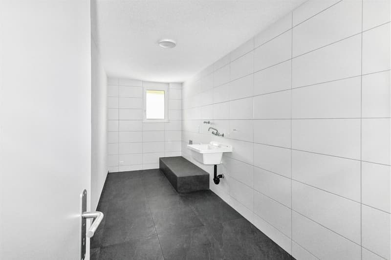 5½ Zimmer-Mietwohnung mit 156 m² Terrasse und hochwertiger Ausstattung (12)