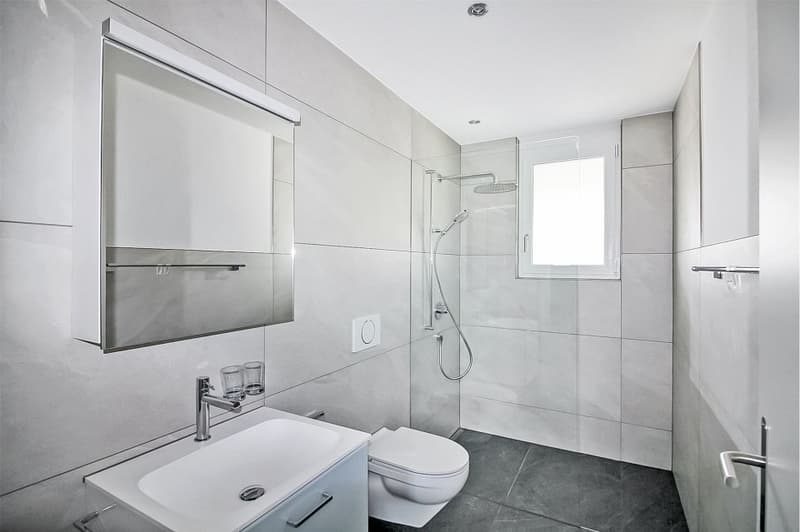 5½ Zimmer-Mietwohnung mit 156 m² Terrasse und hochwertiger Ausstattung (11)