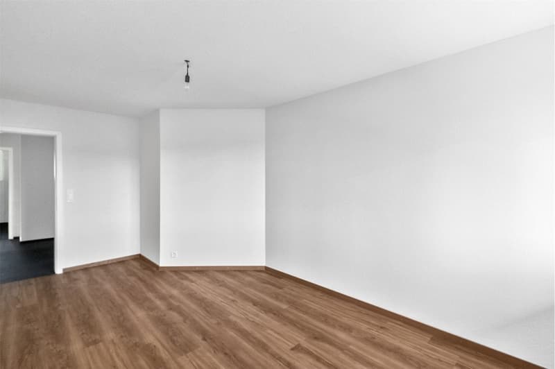 5½ Zimmer-Mietwohnung mit 156 m² Terrasse und hochwertiger Ausstattung (9)