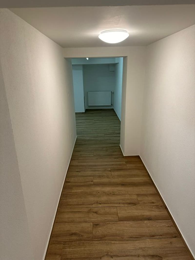 Empty hallway with wooden floor, white walls, ceiling light, and a radiator