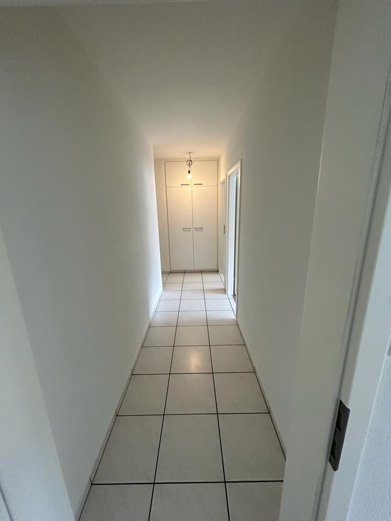Appartamento luminoso di 2,5 locali su Dornacherstrasse a Basilea (7)