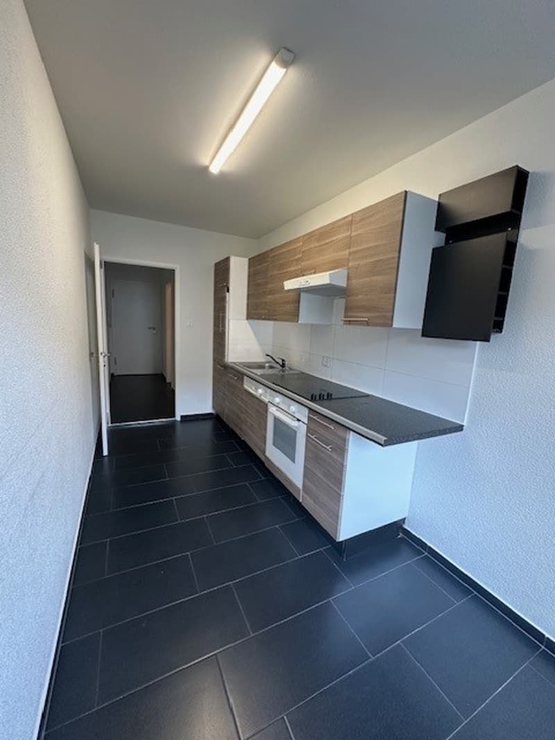 Appartamento luminoso di 2,5 locali su Dornacherstrasse a Basilea (2)