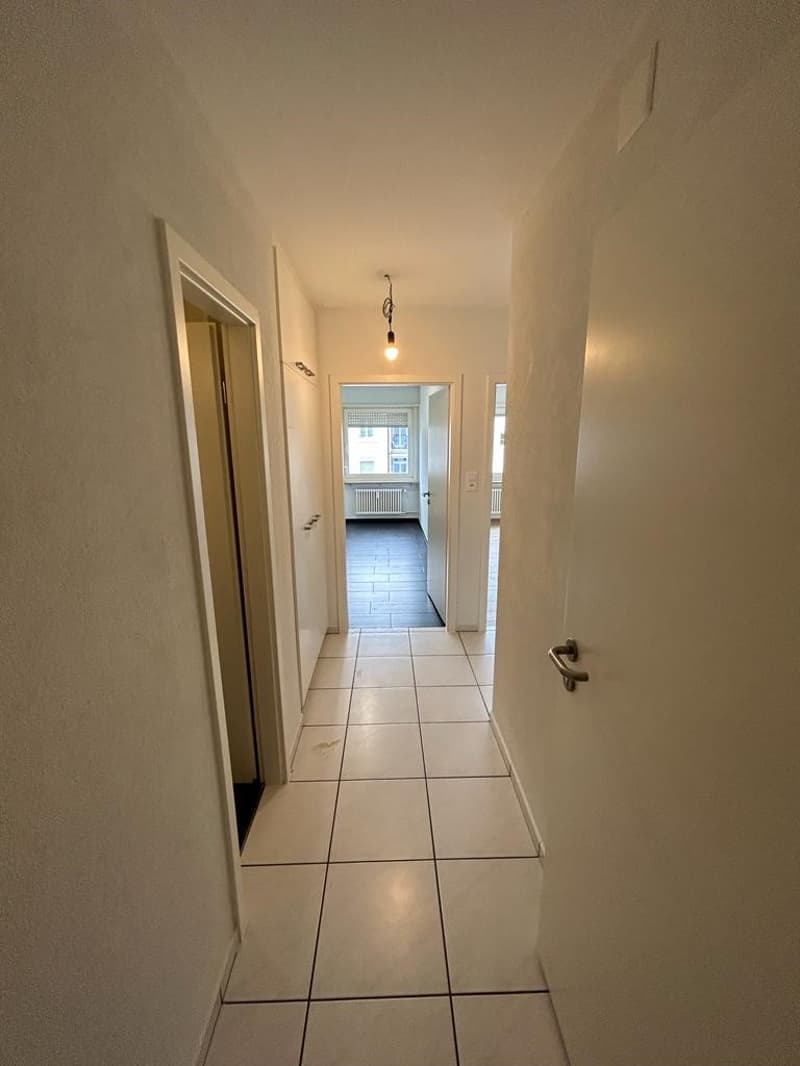 Appartamento luminoso di 2,5 locali su Dornacherstrasse a Basilea (6)