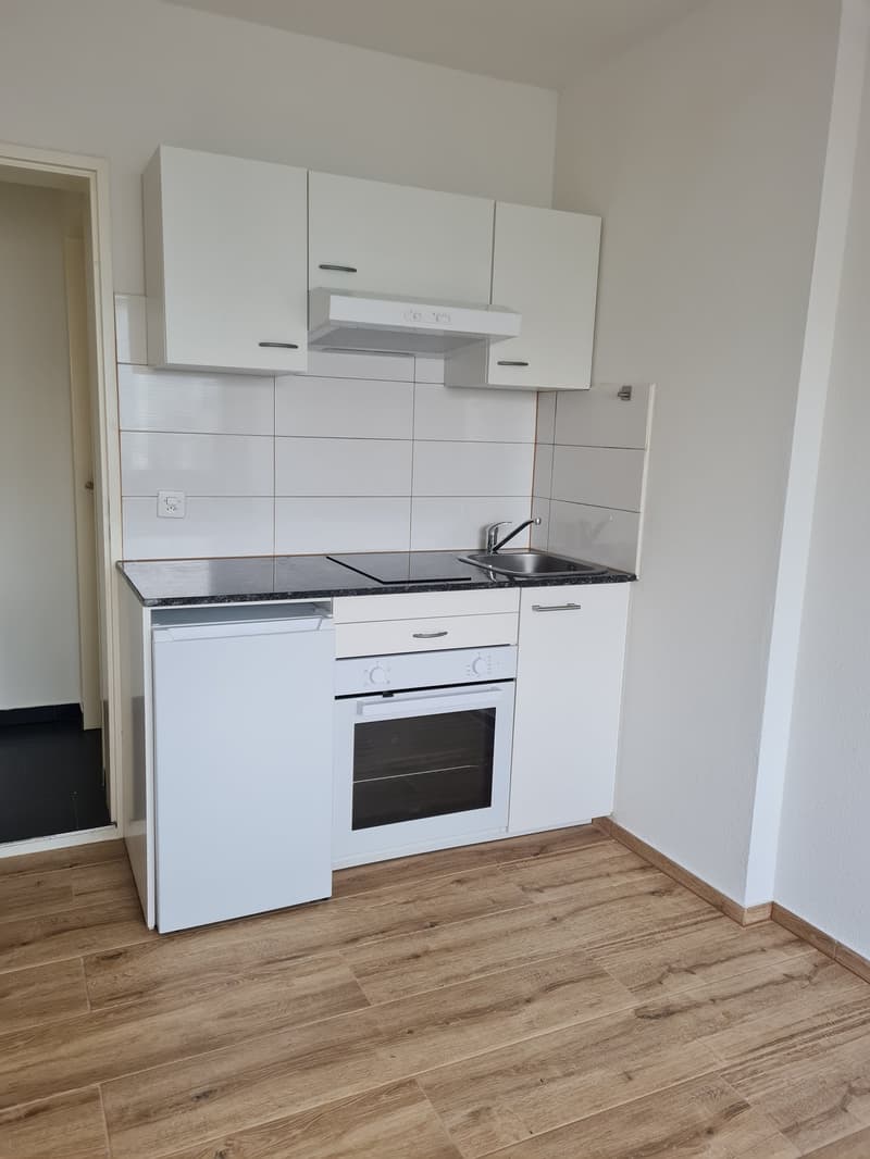 Modern 2-room apartment in Basel in a central location (4)
