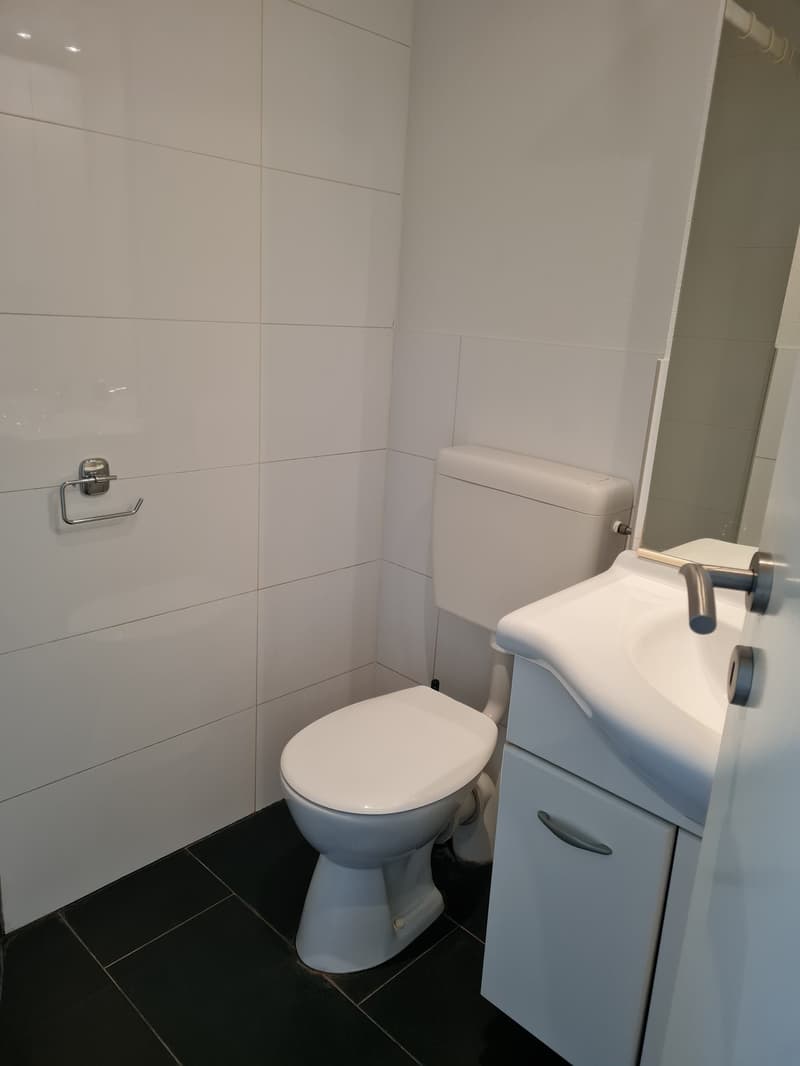 Modern 2-room apartment in Basel in a central location (7)