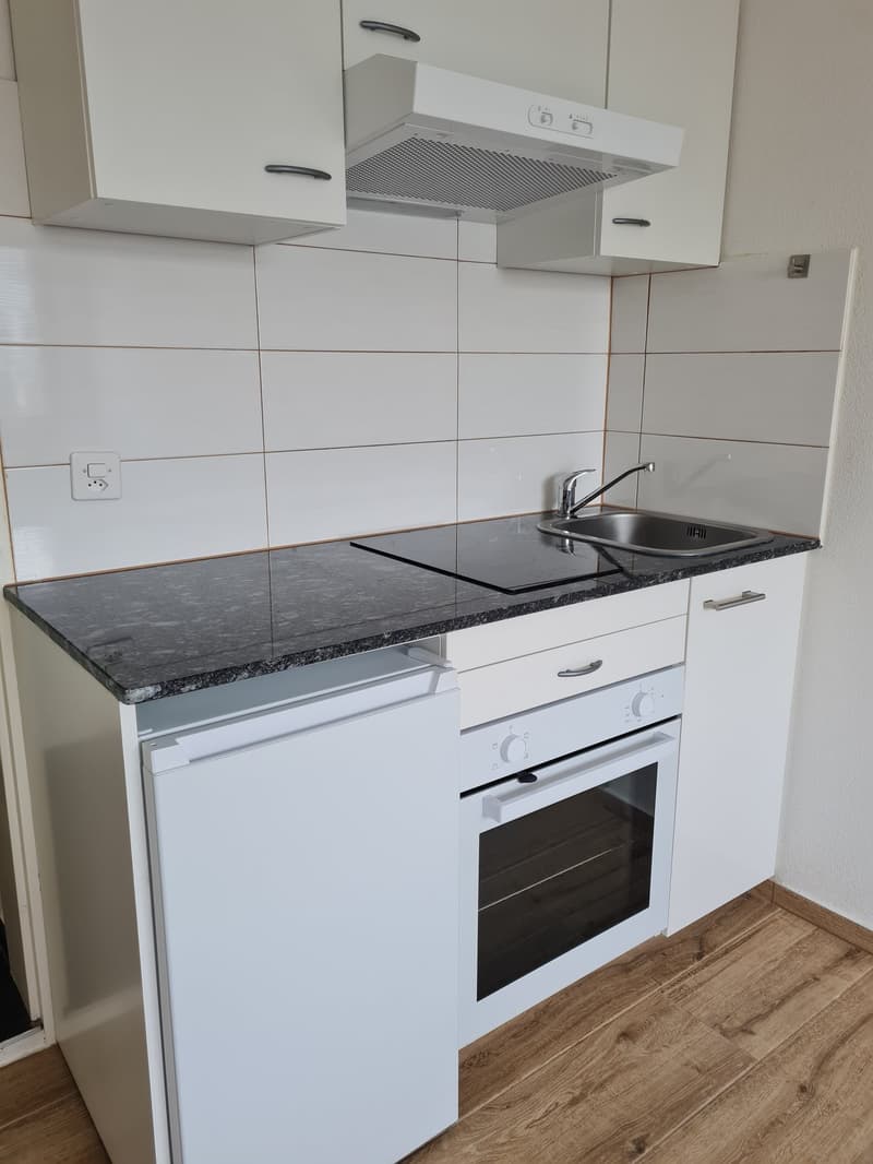 Modern 2-room apartment in Basel in a central location (5)