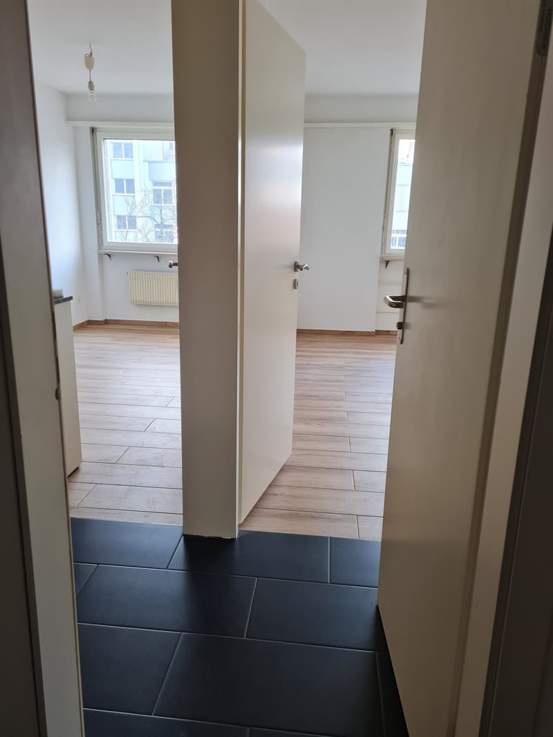 Modern 2-room apartment in Basel in a central location (2)
