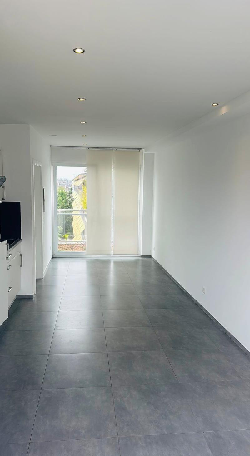 Modern 1-room attic apartment with balcony and view in Basel (3)