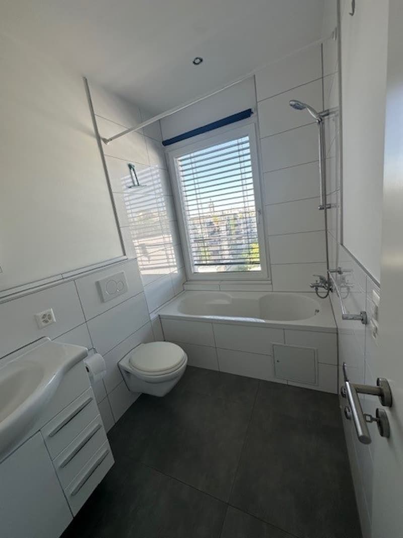 Modern 1-room attic apartment with balcony and view in Basel (9)