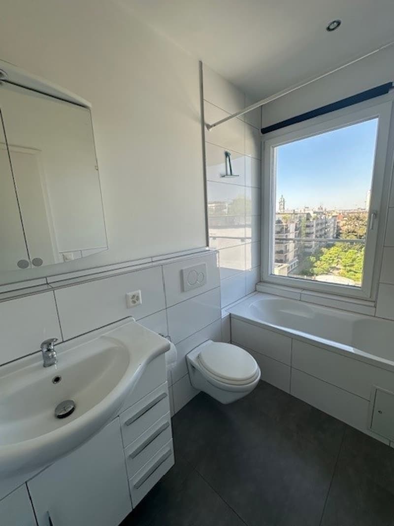 Modern 1-room attic apartment with balcony and view in Basel (6)