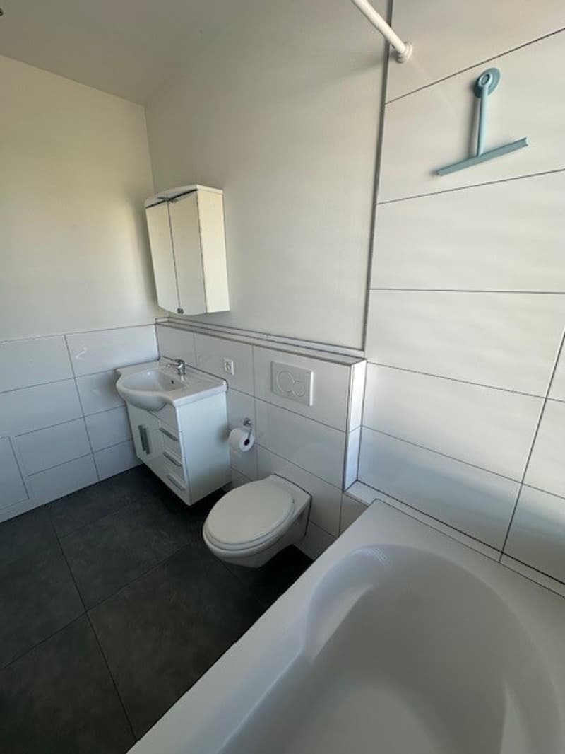 Modern 1-room attic apartment with balcony and view in Basel (8)