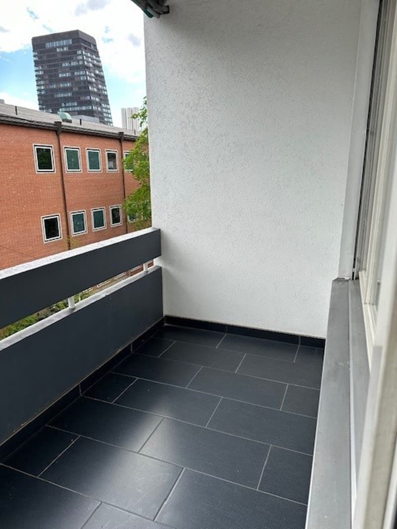 Incantevole appartamento di 2 camere con balcone e vista panoramica a Basilea (11)