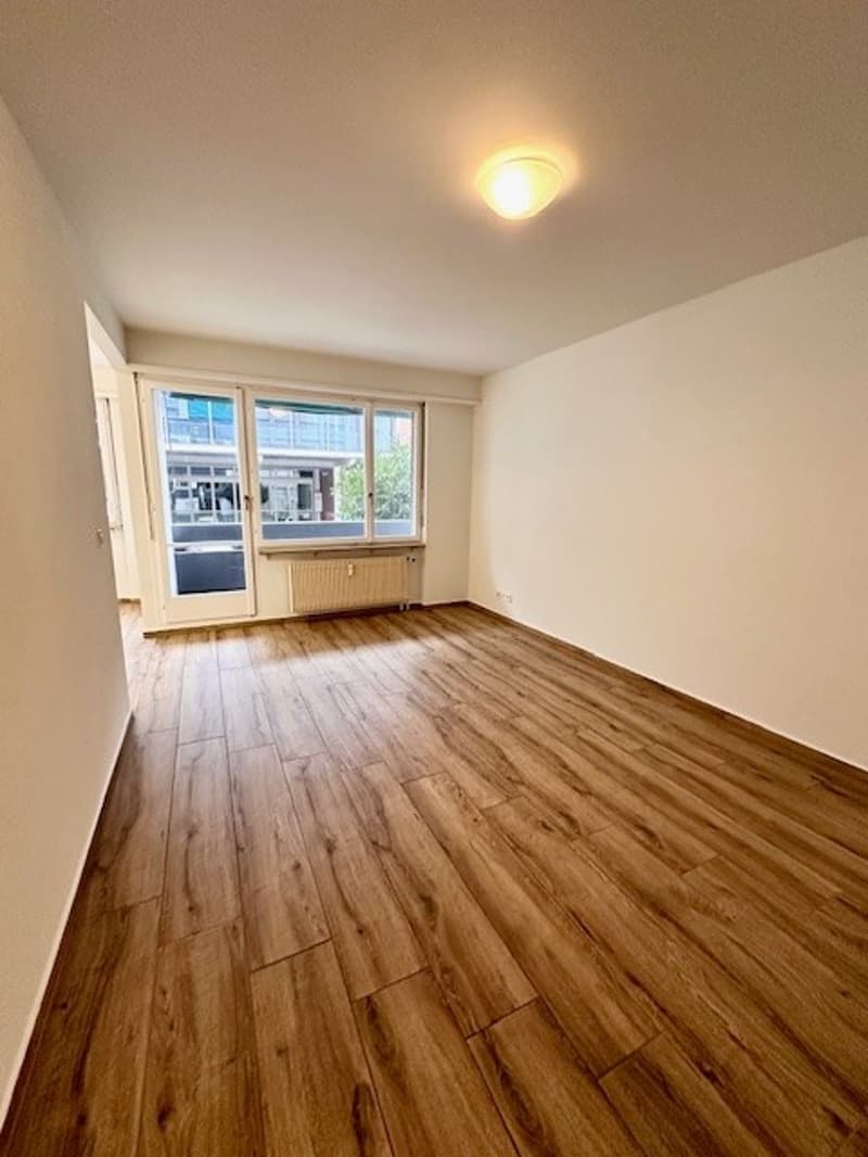 Incantevole appartamento di 2 camere con balcone e vista panoramica a Basilea (1)