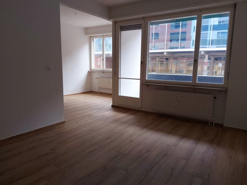 Incantevole appartamento di 2 camere con balcone e vista panoramica a Basilea (3)