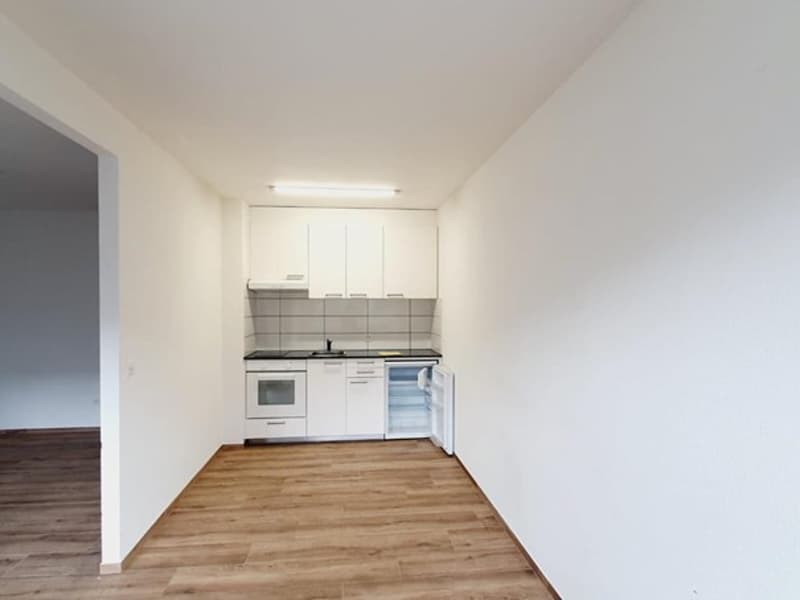 Incantevole appartamento di 2 camere con balcone e vista panoramica a Basilea (5)