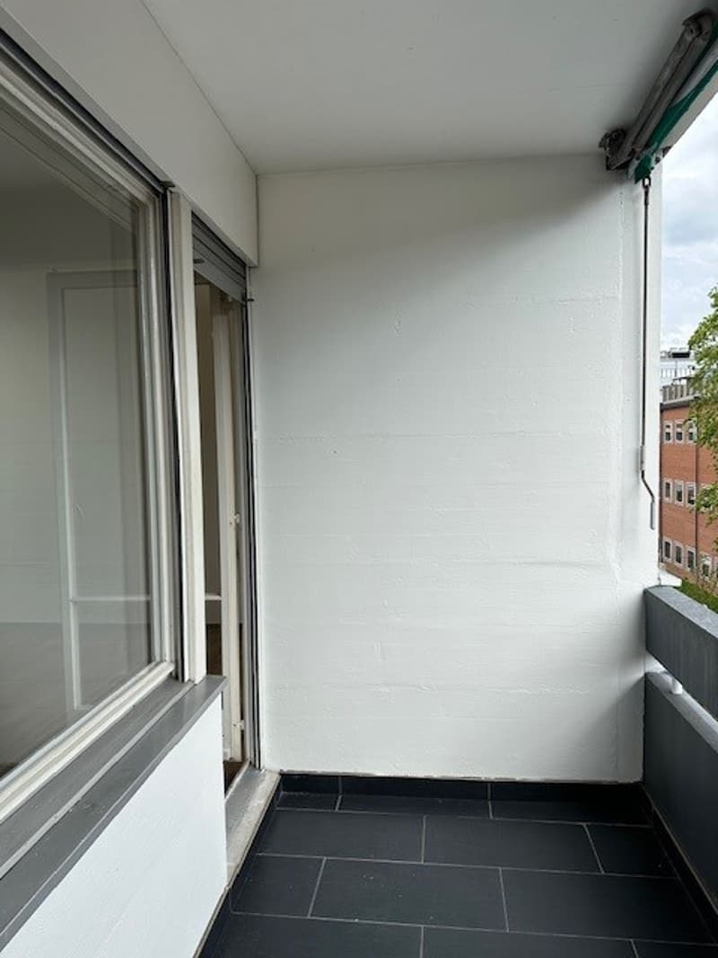 Incantevole appartamento di 2 camere con balcone e vista panoramica a Basilea (10)
