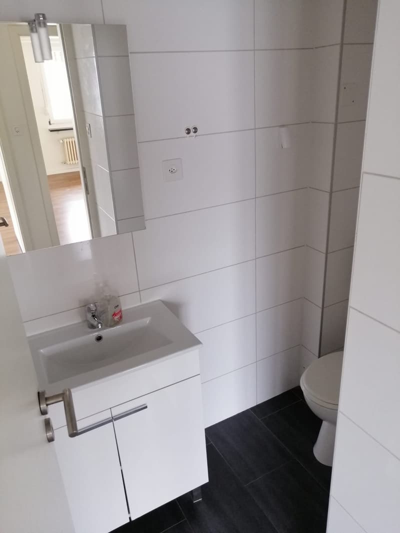 Appartamento mansardato moderno 3.5 locali con balcone a Basilea (9)