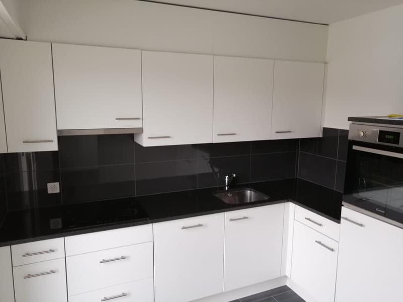 Appartamento mansardato moderno 3.5 locali con balcone a Basilea (6)