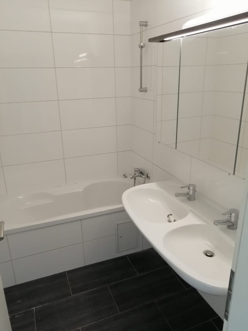 Appartamento mansardato moderno 3.5 locali con balcone a Basilea (8)