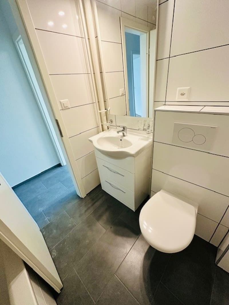 Appartamento luminoso, ristrutturato, 3,5 locali con balcone, disponibile immediatamente a Münchenstein (27)