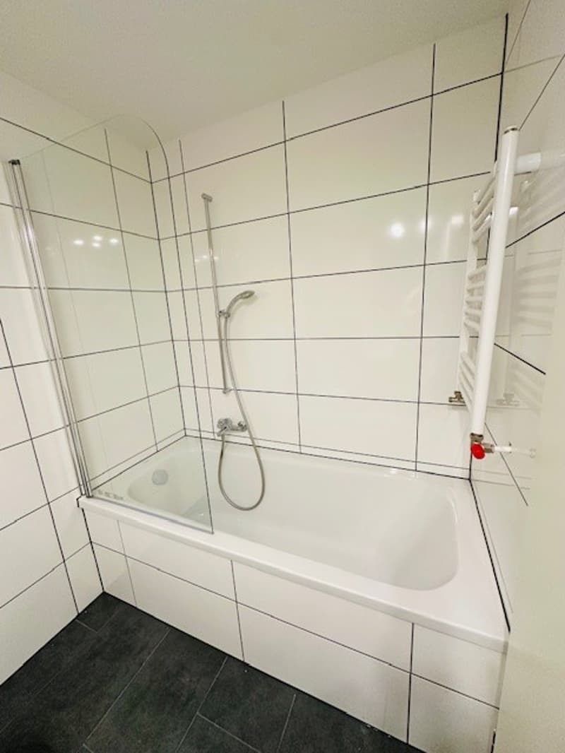 Appartamento luminoso, ristrutturato, 3,5 locali con balcone, disponibile immediatamente a Münchenstein (26)