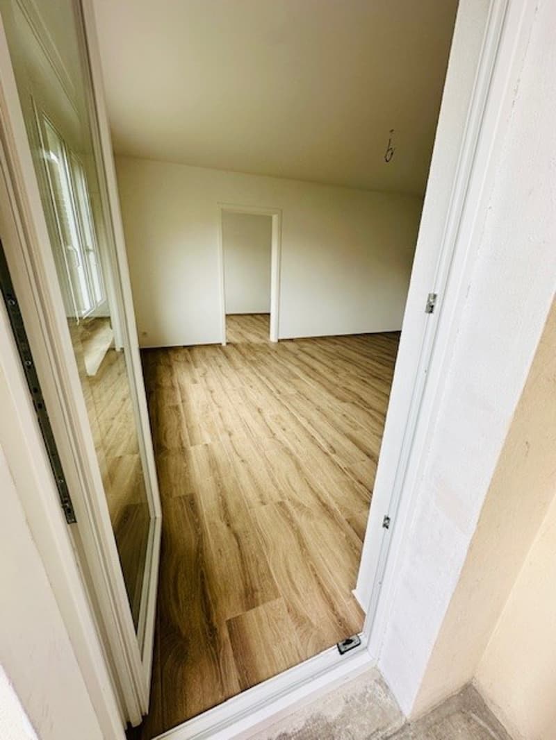 Appartamento luminoso, ristrutturato, 3,5 locali con balcone, disponibile immediatamente a Münchenstein (2)