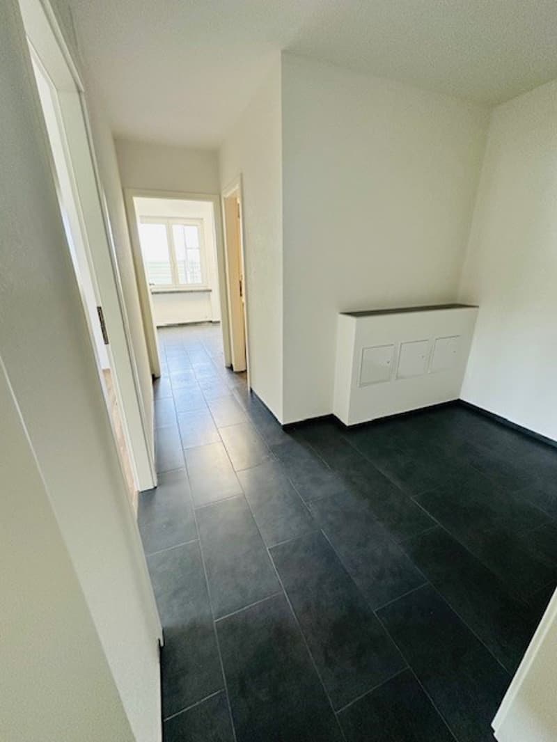 Appartamento luminoso, ristrutturato, 3,5 locali con balcone, disponibile immediatamente a Münchenstein (8)