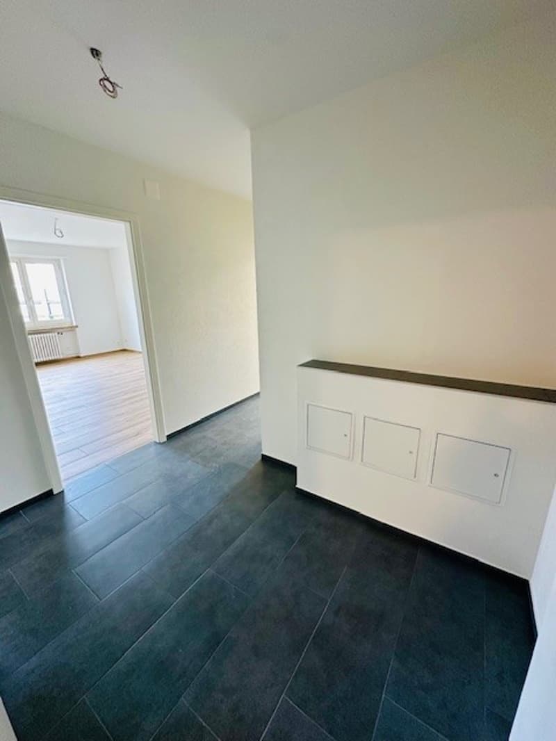Appartamento luminoso, ristrutturato, 3,5 locali con balcone, disponibile immediatamente a Münchenstein (7)