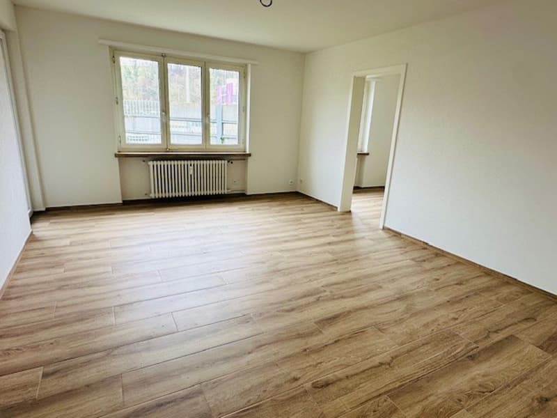 Appartamento luminoso, ristrutturato, 3,5 locali con balcone, disponibile immediatamente a Münchenstein (3)