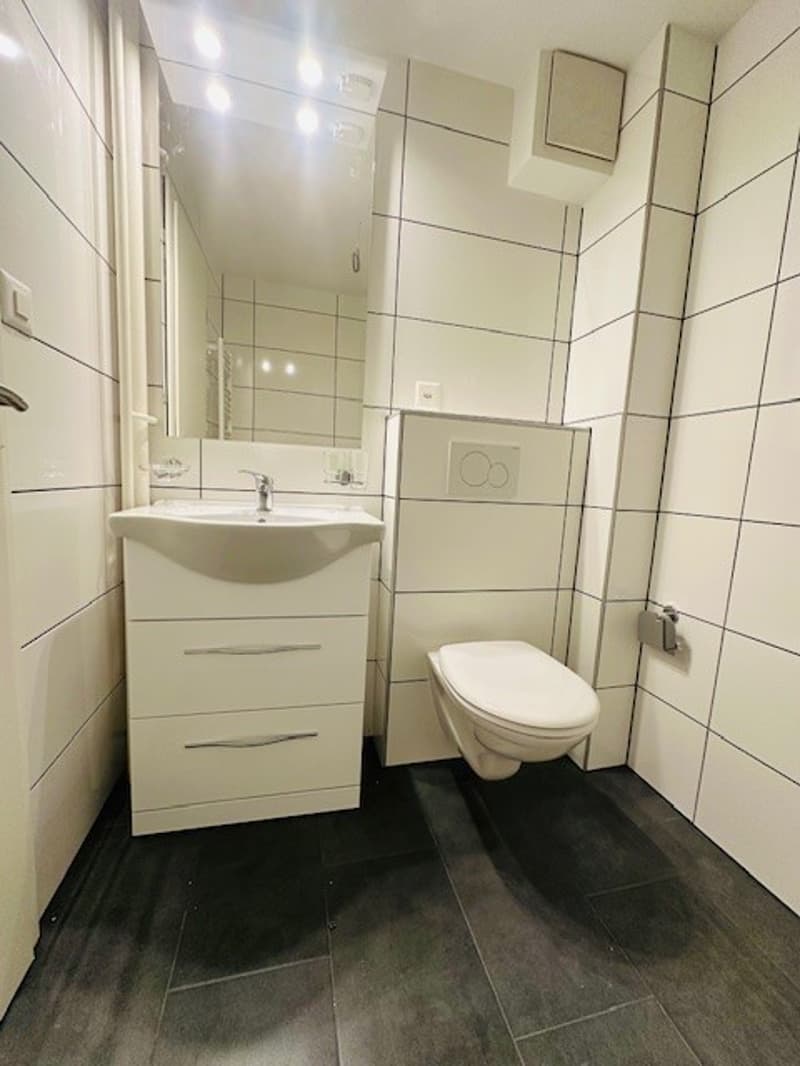 Appartamento luminoso, ristrutturato, 3,5 locali con balcone, disponibile immediatamente a Münchenstein (28)