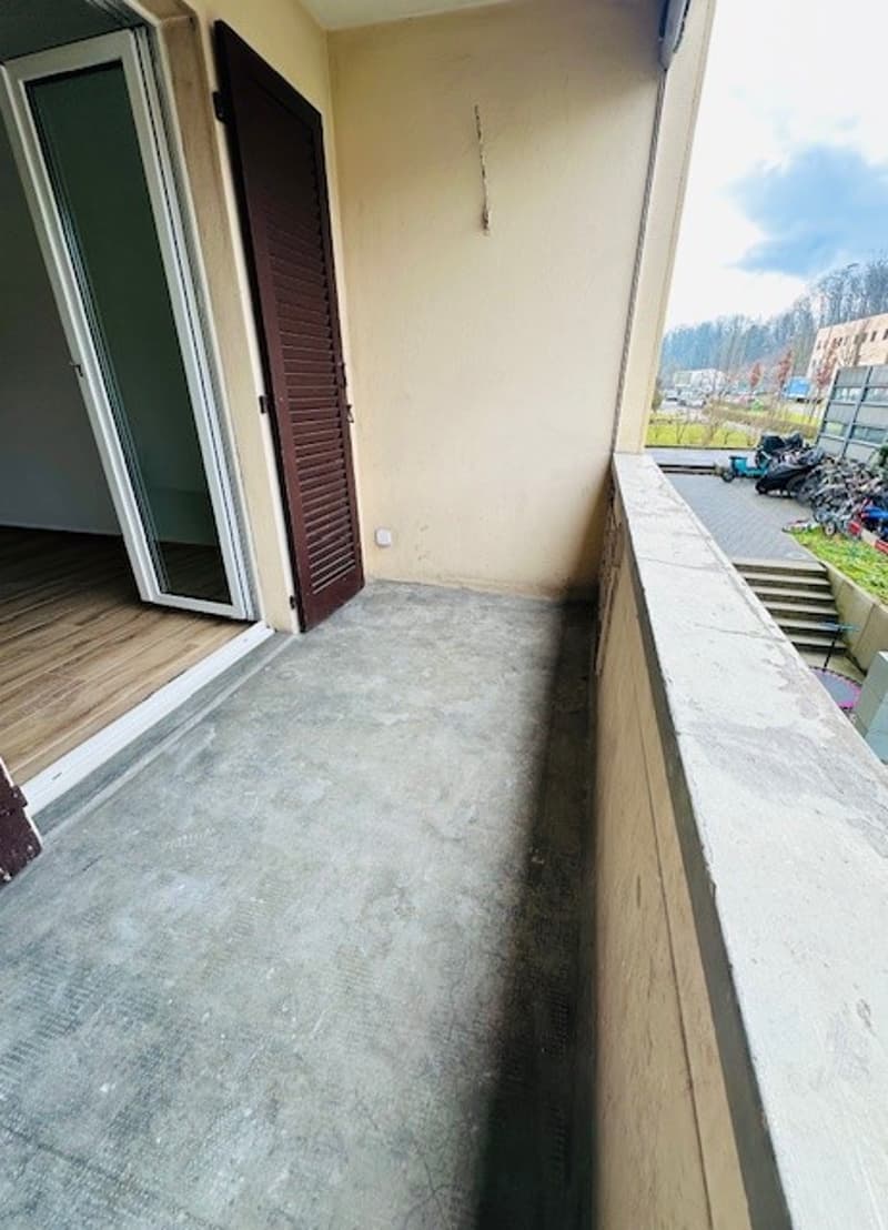 Appartamento luminoso, ristrutturato, 3,5 locali con balcone, disponibile immediatamente a Münchenstein (22)