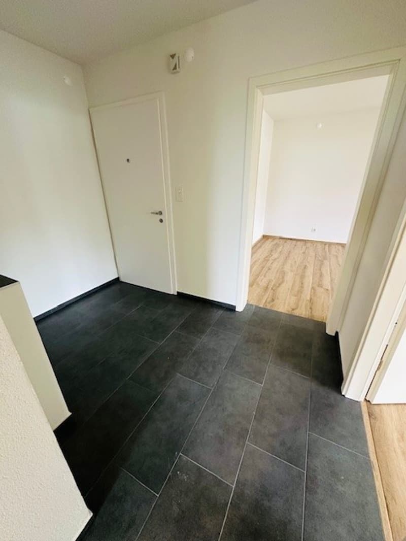 Appartamento luminoso, ristrutturato, 3,5 locali con balcone, disponibile immediatamente a Münchenstein (9)