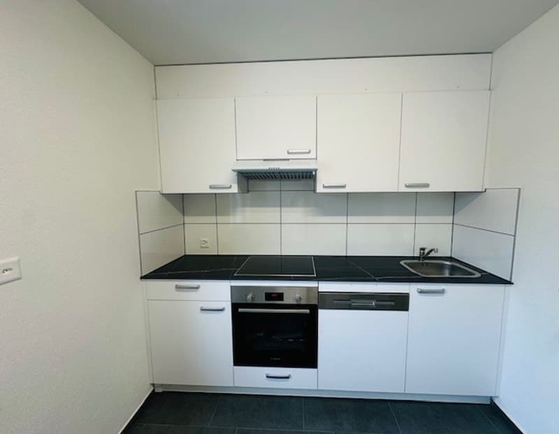 Appartamento luminoso, ristrutturato, 3,5 locali con balcone, disponibile immediatamente a Münchenstein (14)